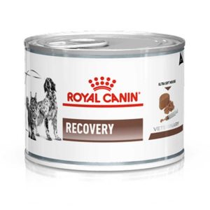 Lata Royal Canin Recovery 145gr