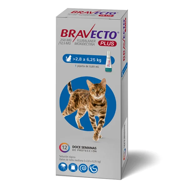 Bravecto Plus Gato 2.8kg a 6.25kg