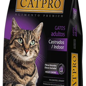 CatPro Castrados/Indoor