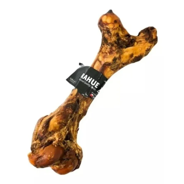 Rahue Femur de Vacuno