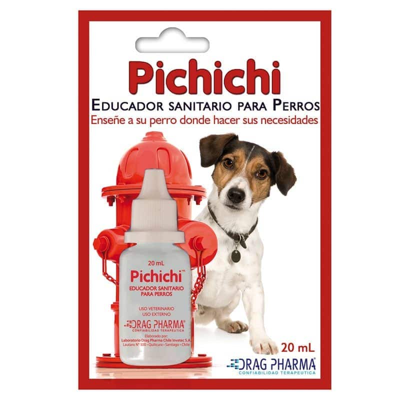 Pichichi Perro