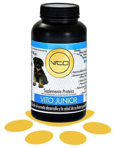Suplemento Vito Junior